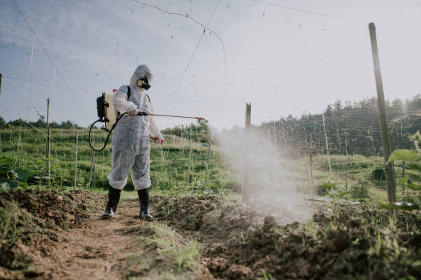 Best Pest Control Treatment  in Green Hill, TN