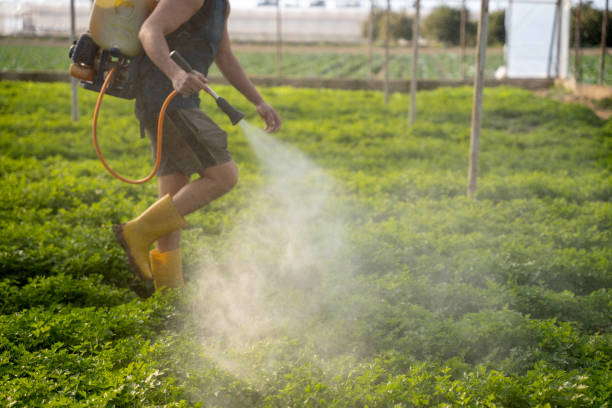 Best Local Pest Control Services  in Green Hill, TN