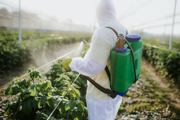Best Pest Removal Services  in Green Hill, TN